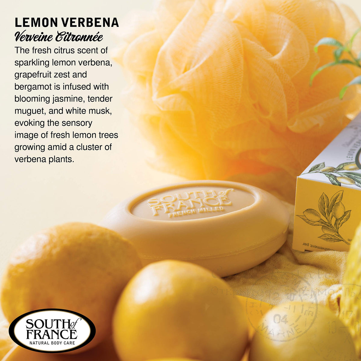 South of France ingredient label showing organic shea butter and clean formulation benefits