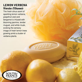 South of France ingredient label showing organic shea butter and clean formulation benefits