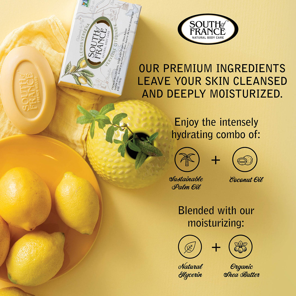 South of France lather in hand demonstrating rich foam and gentle cleansing benefit