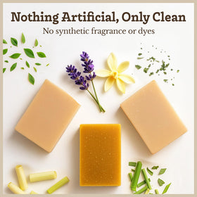 Southern Natural bars on draining soap dish to show proper storage benefit