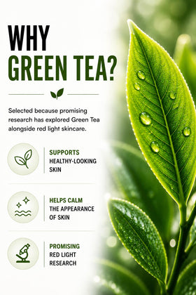 St. Croix Products green tea ingredient focus highlighting antioxidant support