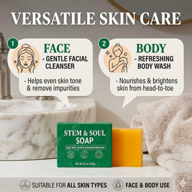 Stem and Soul three bars flatlay illustrating quantity and travel-ready convenience benefit