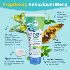 STREAM 2 SEA ingredients label with zinc oxide and calming botanicals