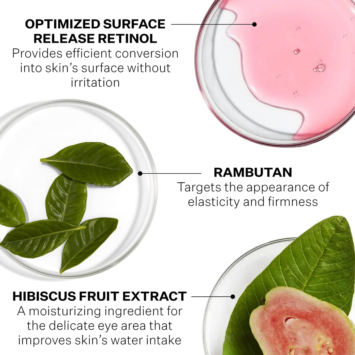 StriVectin rambutan extract depiction showing retinol-mimic elasticity support