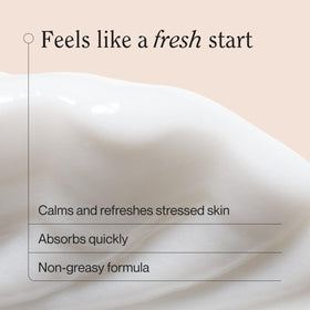 Suave aloe leaf visual highlighting natural soothing ingredient and calming effect