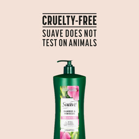 Suave shampoo with matching conditioner staged for fuller styling routine