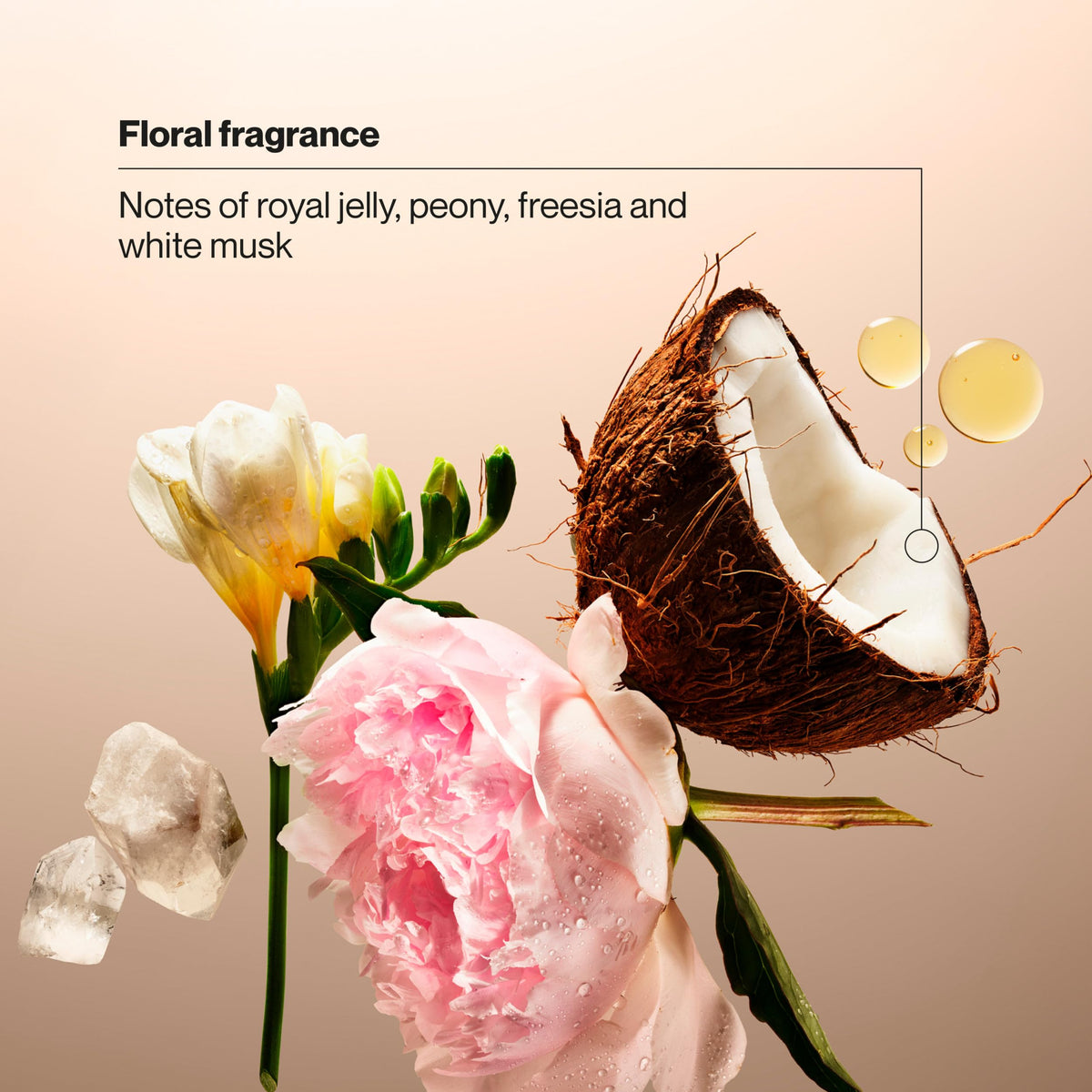 Suave scent inspiration with coconut and florals indicating fresh fragrance