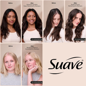 Suave spray action on roots demonstrating quick oil absorption benefit
