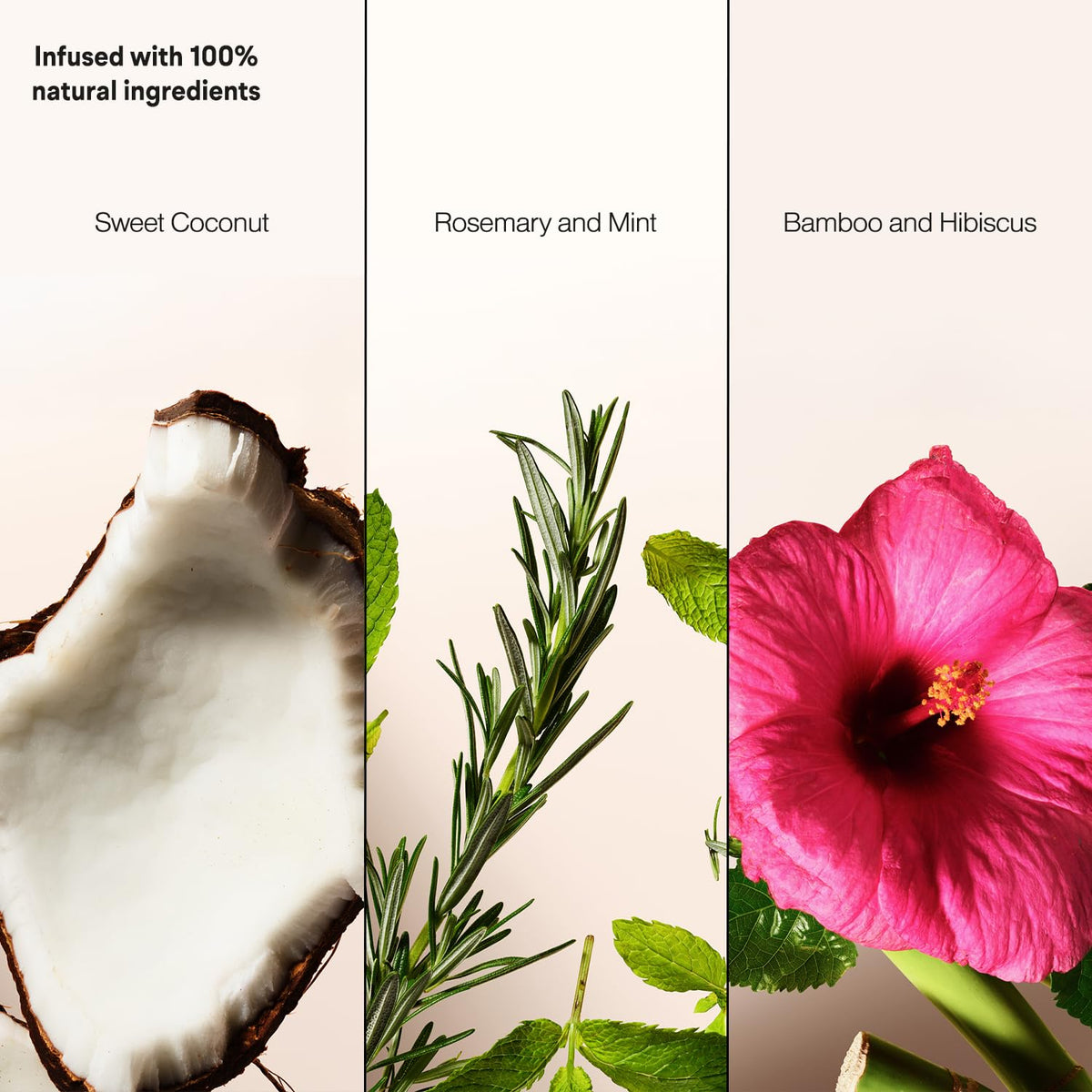 Suave Sweet Coconut label view emphasizing refreshing tropical scent