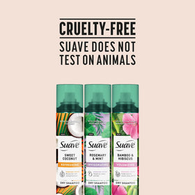 Suave cans in a gym bag showing travel-friendly 4.3 oz size benefit