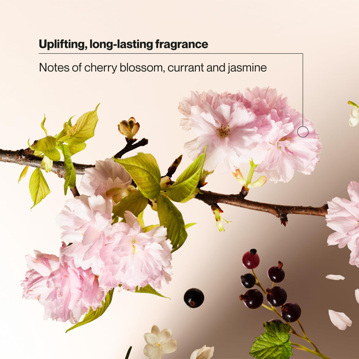 Six-pack of Suave Wild Cherry Blossom bottles displaying family-size value and convenience
