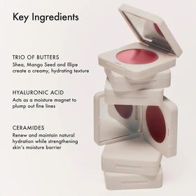 Summer Fridays brush application showing even blending on cheek for a natural flush