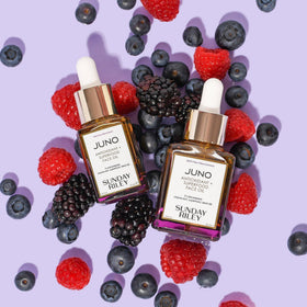 Sunday Riley Juno seed ingredients arranged to show antioxidant-rich sources