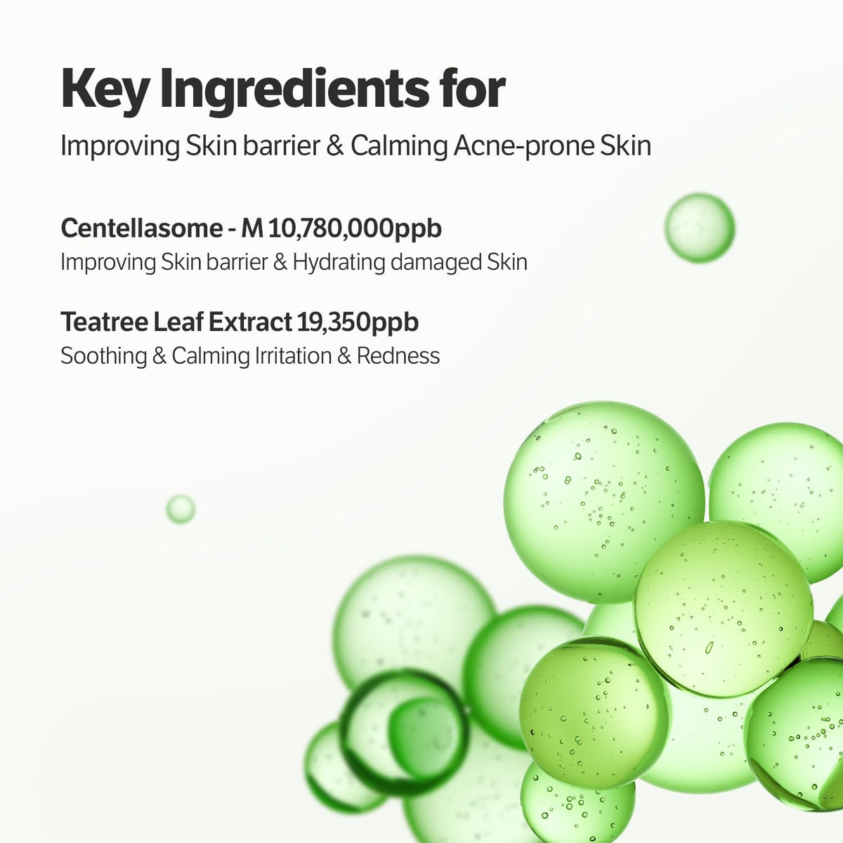 SUNGBOON EDITOR Centella leaf visual highlighting soothing ingredient and calmness