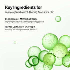 SUNGBOON EDITOR Centella leaf visual highlighting soothing ingredient and calmness