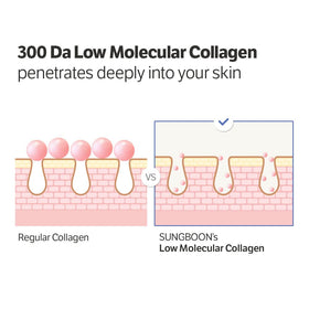 SUNGBOON EDITOR ingredient label detail listing collagen and Volufiline