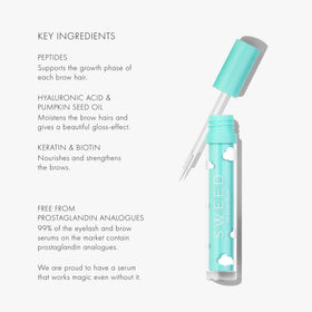 SWEED brow serum ingredients flatlay highlighting peptides and pumpkin seed oil benefits