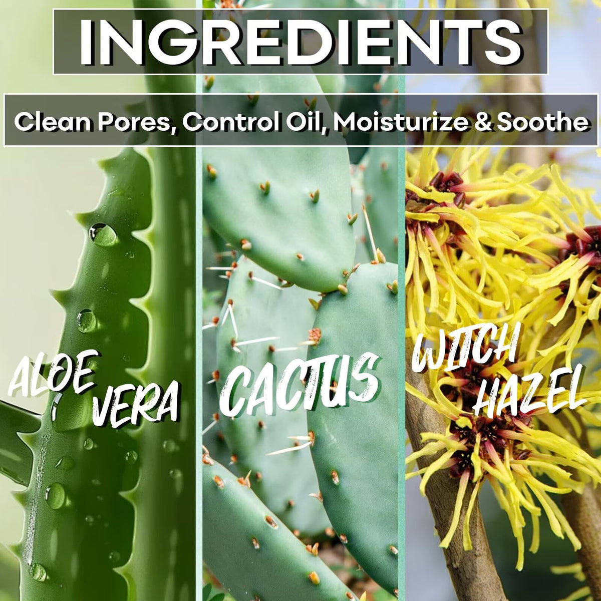 SYABO ingredients label featuring witch hazel and aloe vera benefits