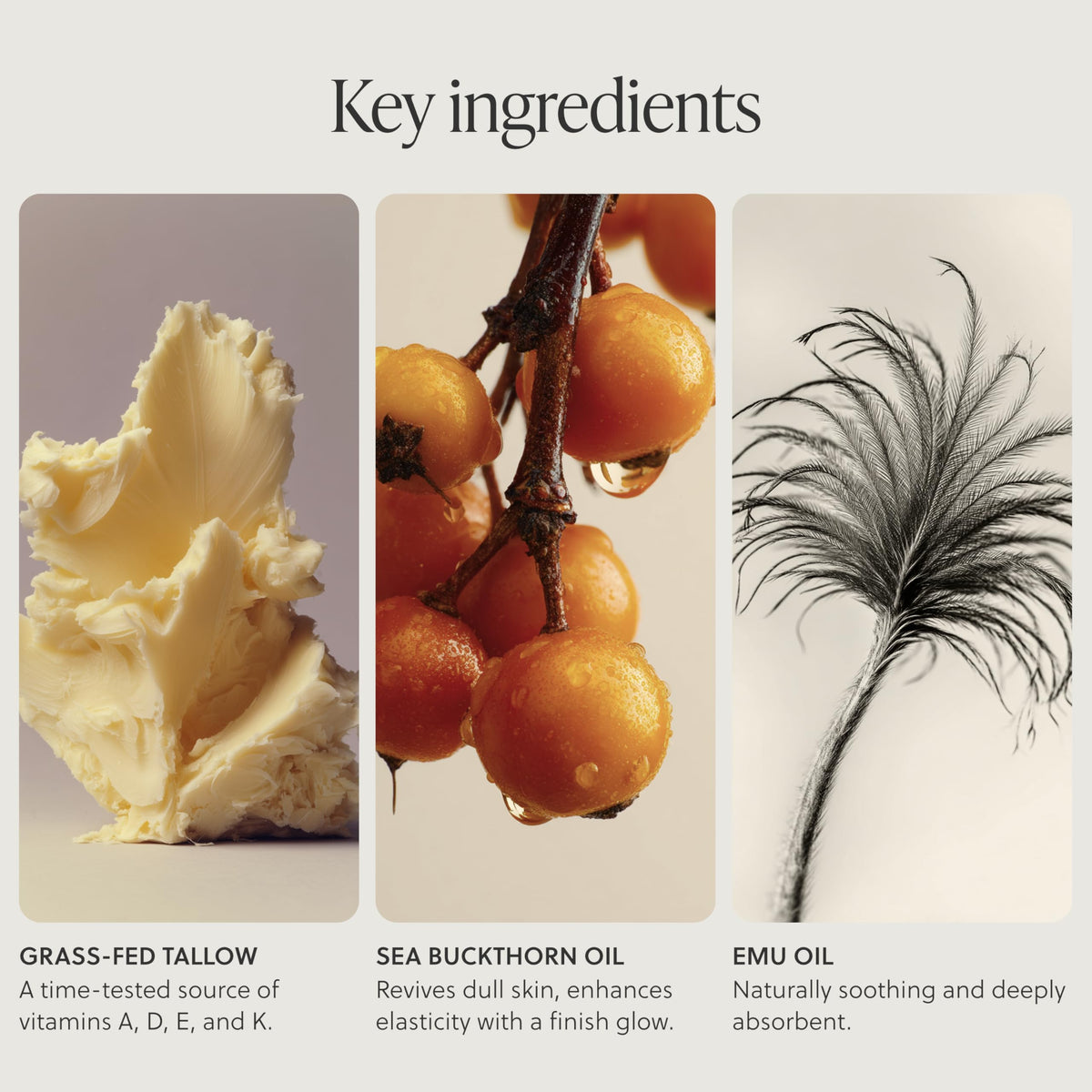 Applying TALOVA to hands for overnight repair, demonstrates deep nourishment