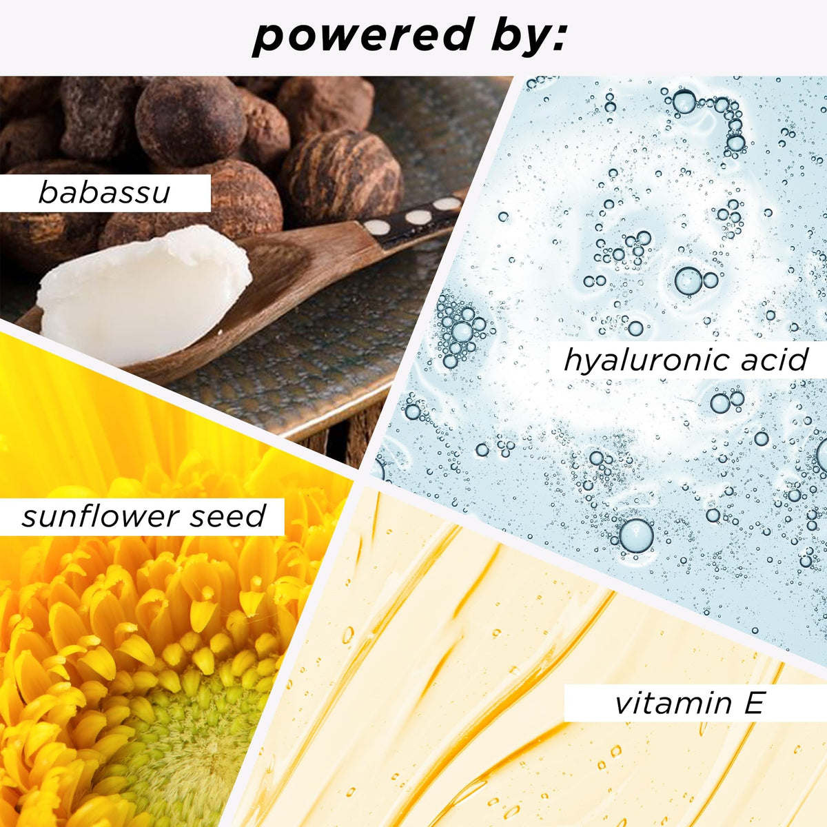 tarte label and ingredient list close-up, emphasizes clean formula