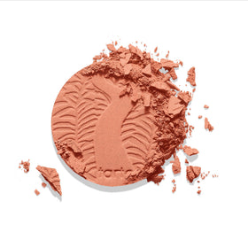 tarte blush inside a makeup bag illustrating portability and everyday routine ease