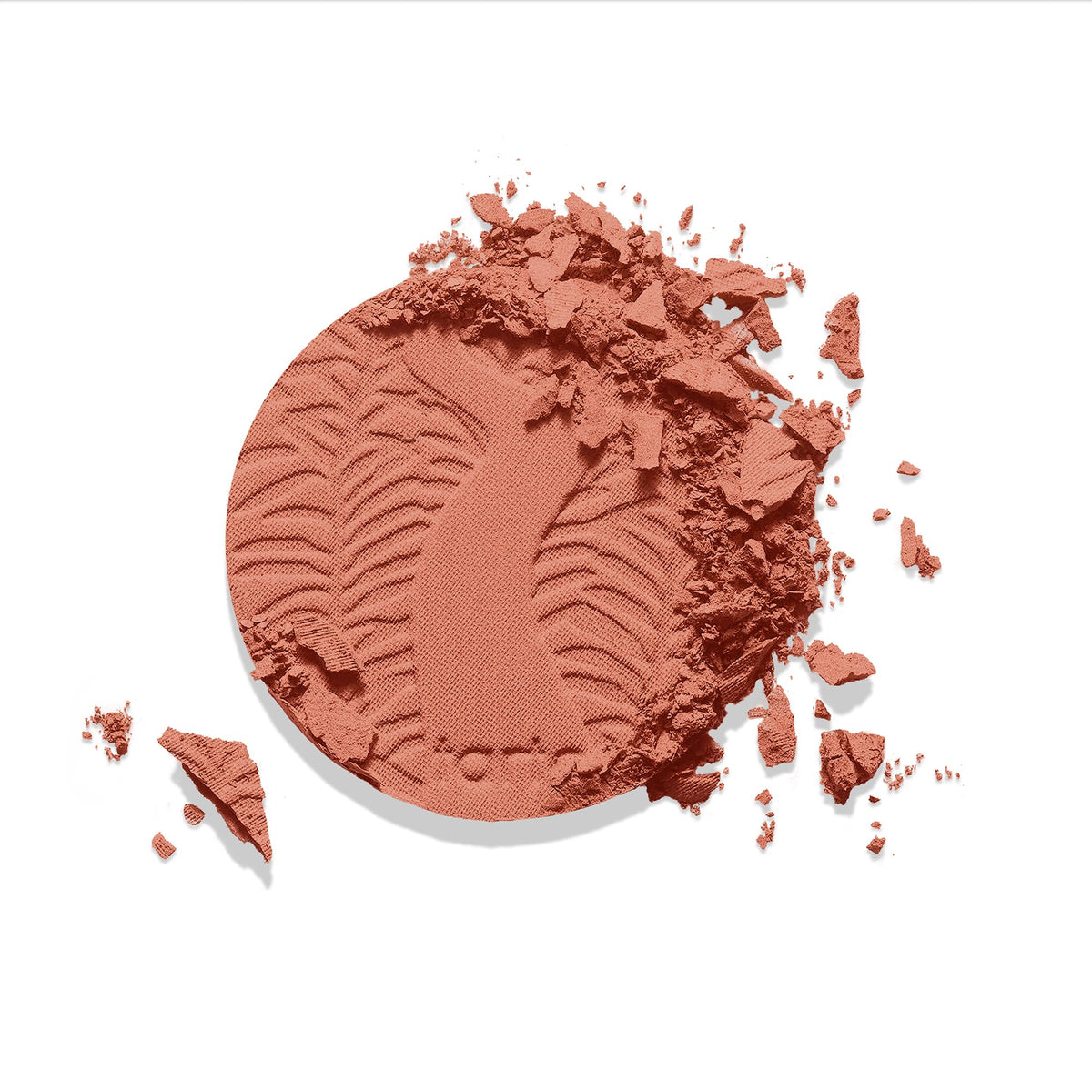 tarte blush compact beside a coin for scale to show full-size portability
