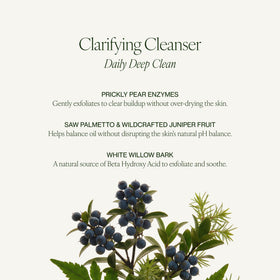 Tata Harper chlorella ingredient visual emphasizing botanical clarifying benefit