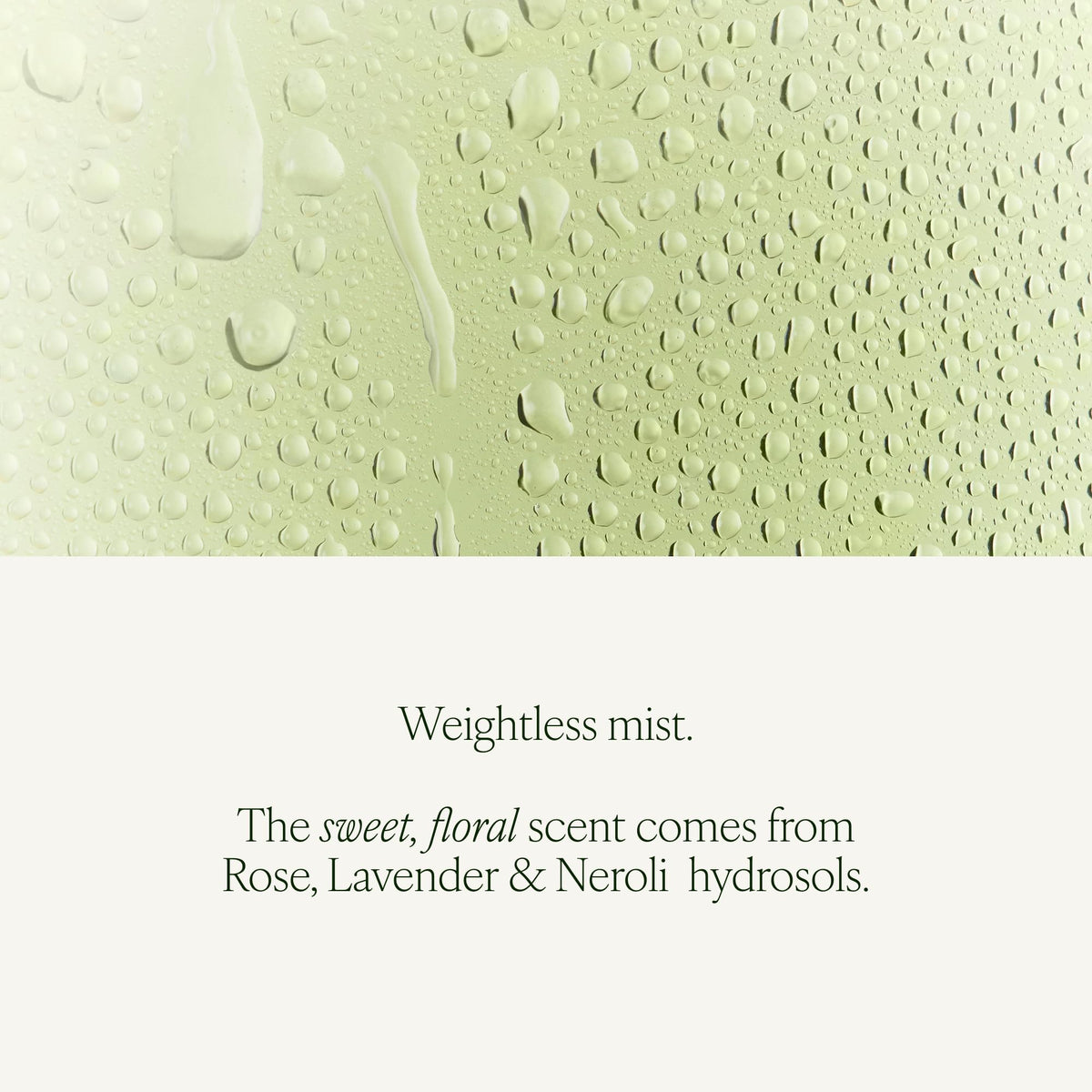Tata Harper 125ml bottle beside a ruler to show true size and travel practicality