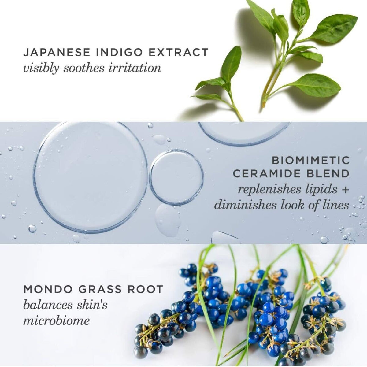 TATCHA indigo root ingredient detail highlighting soothing benefits