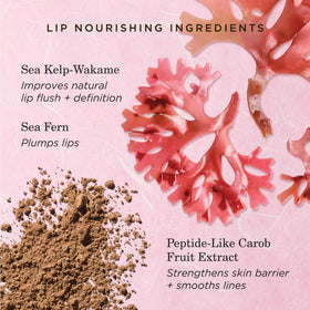 TATCHA Kissu lid and label detail showing brand and ingredient clarity
