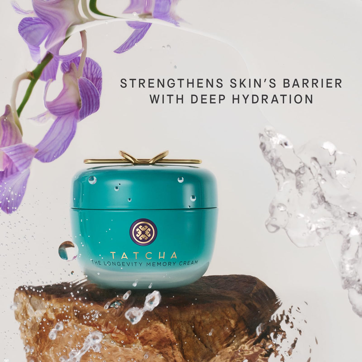 TATCHA Okinawa botanical ingredients display showing natural extracts that support renewal