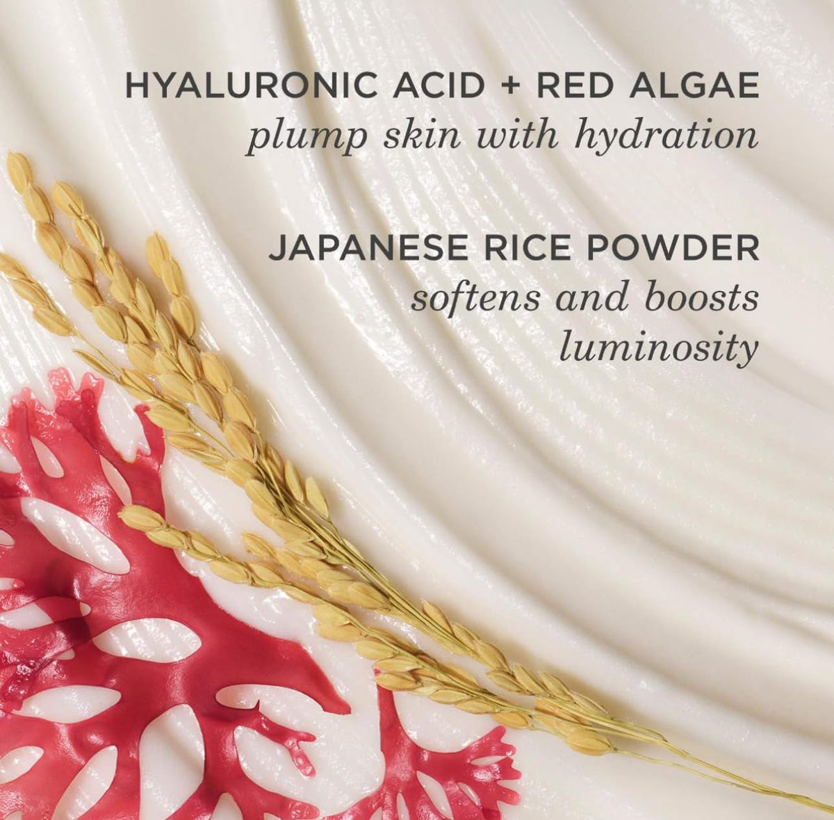 TATCHA rice wash beside ruler showing 4 oz size for clear scale and portability