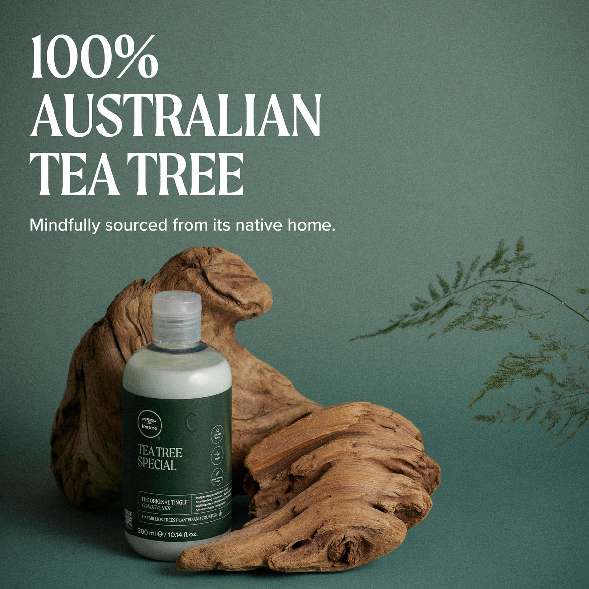 Tea Tree conditioner applied to hair demonstrating smoothing and softness benefit