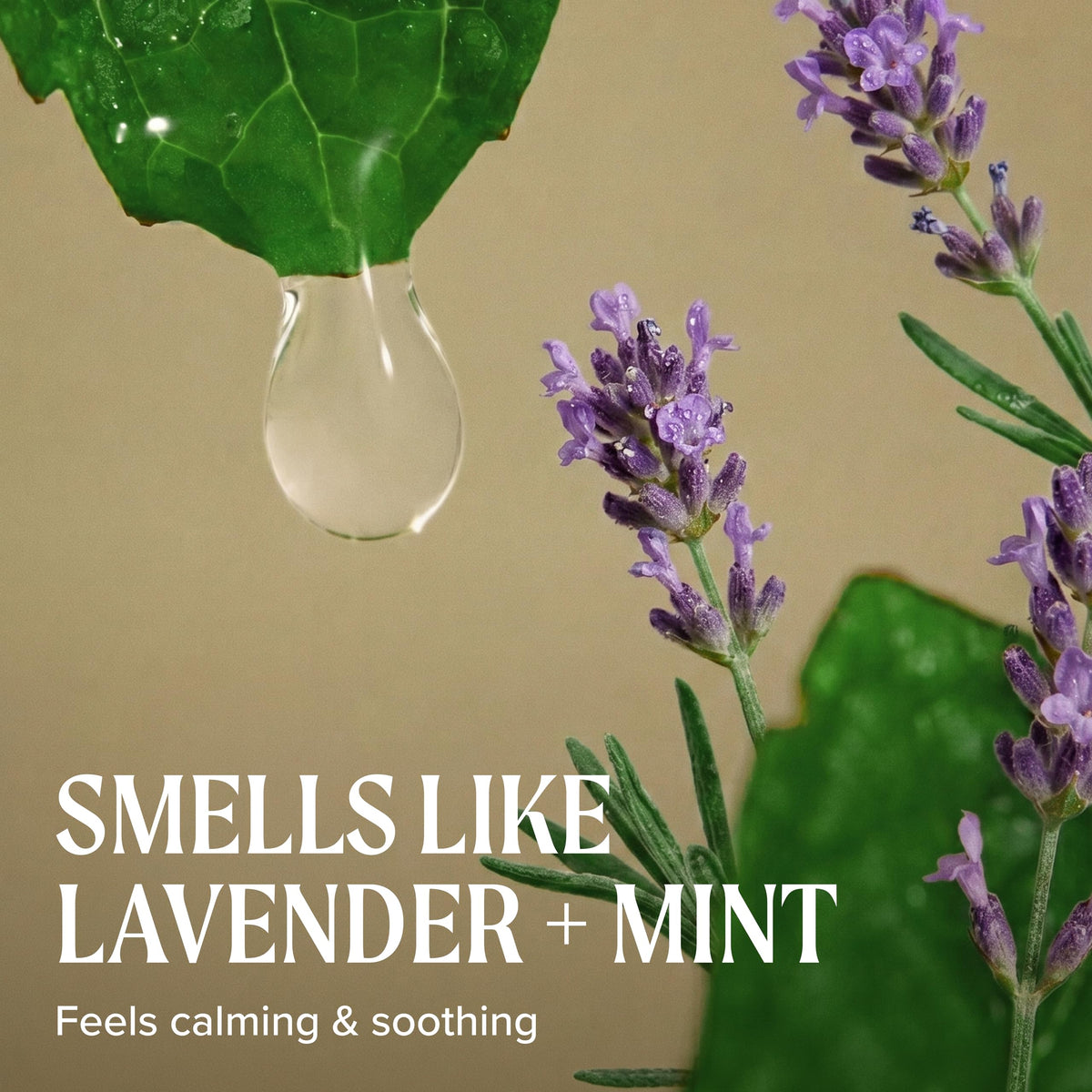 Tea Tree label close-up displaying ingredients and restorative minerals