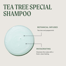 Salon shelf stocked with Tea Tree products showing professional and trusted brand