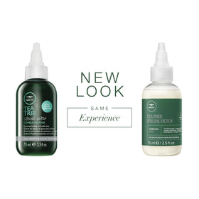 Tea Tree kombucha texture close-up highlighting gentle exfoliation