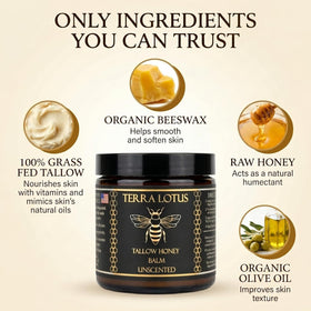 Terra Lotus ingredients display with olive oil, raw honey, and tallow benefit