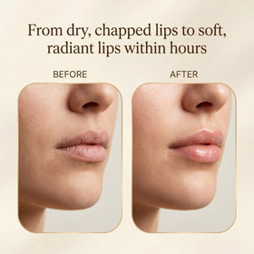 Terra Lotus texture closeup highlighting creamy tallow blend for soft lips