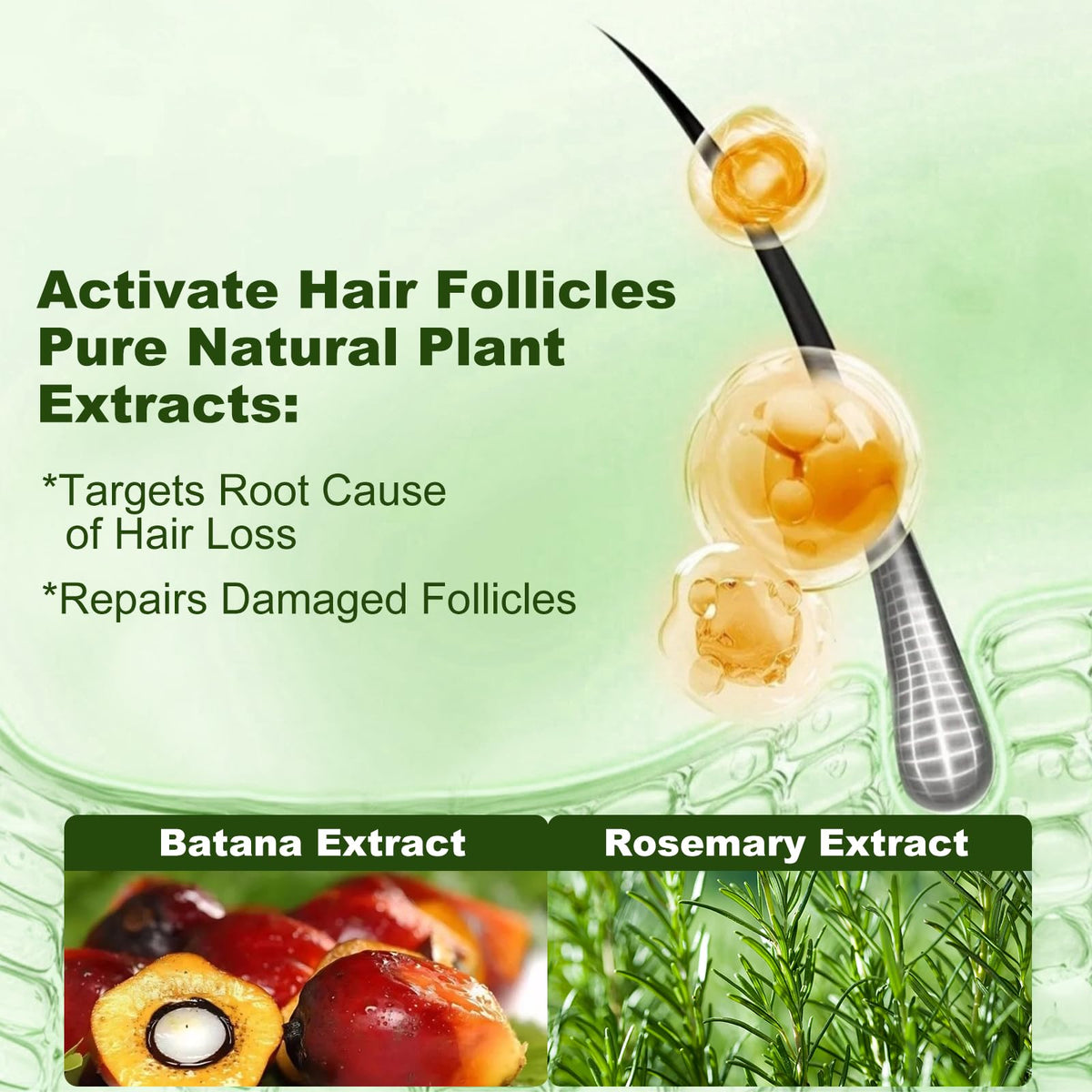 Tgideas close-up rosemary sprig showing botanical extract for scalp support benefit
