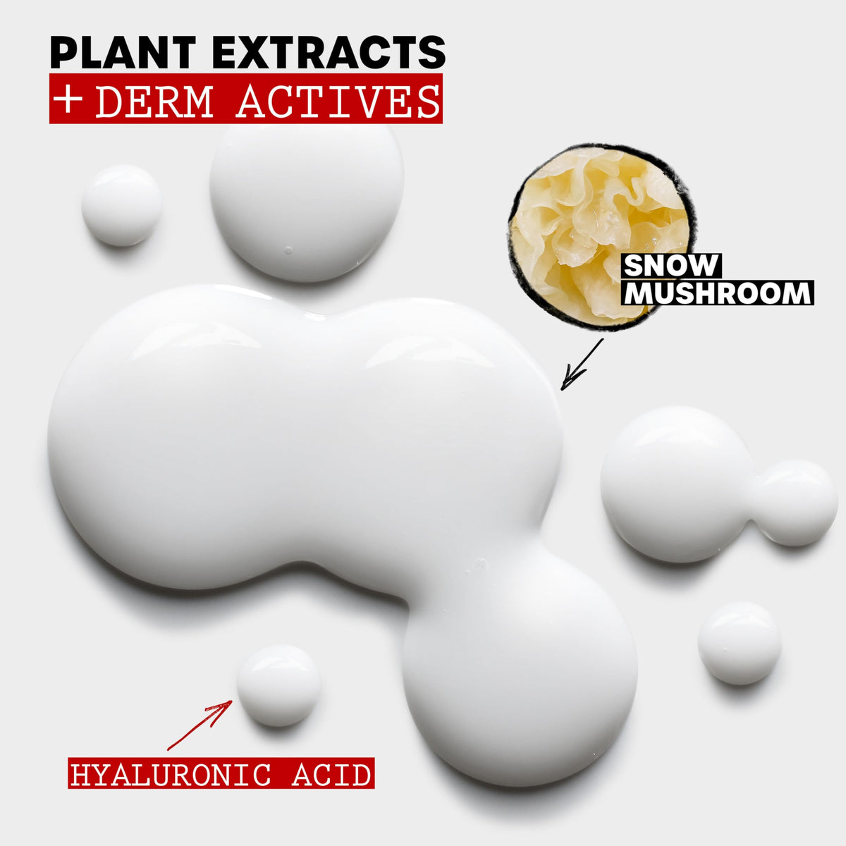 THAYERS bottle beside snow mushroom illustrating botanical hydration