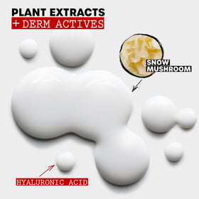 THAYERS bottle beside snow mushroom illustrating botanical hydration