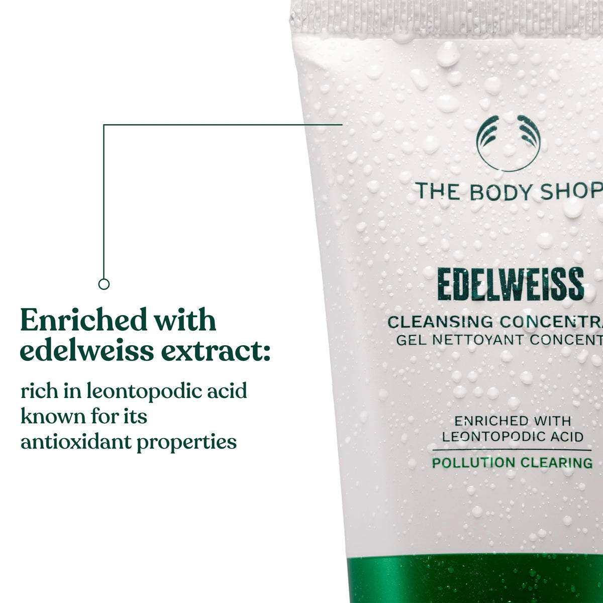 The Body Shop foam in hand demonstrating gentle cleaning action