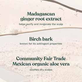The Body Shop ginger shampoo gel texture on hand showing rich lather