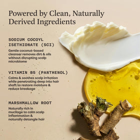 The Earthling Co. shampoo bar in hand showing compact travel-friendly size