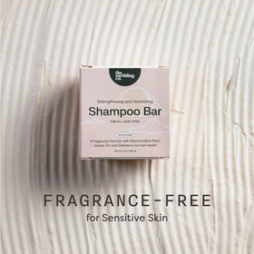The Earthling Co. travel kit with shampoo bar showing convenience for trips benefit