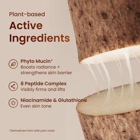 The Face Shop cream applied to hand demonstrating fast absorption and softness