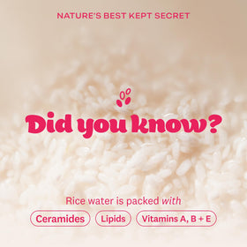 THE FACE SHOP label and ingredients panel highlighting rice extract