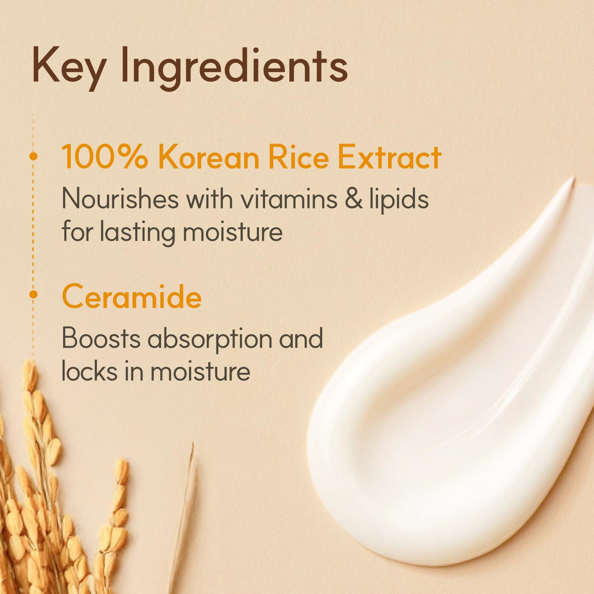 Close shot of The Face Shop ingredient label highlighting rice and ceramide content for transparency