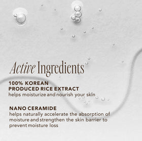 THE FACE SHOP ingredients label close-up highlighting rice extract and ceramide clarity