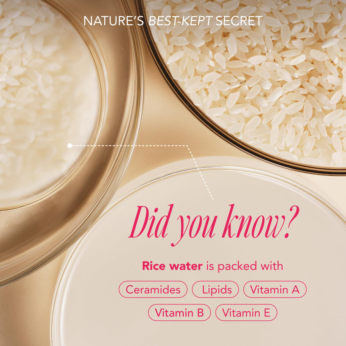 The Face Shop foaming cleanser texture close-up showing gentle cleansing